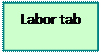Casella di testo: Labor tab