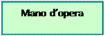 Casella di testo: Mano dopera